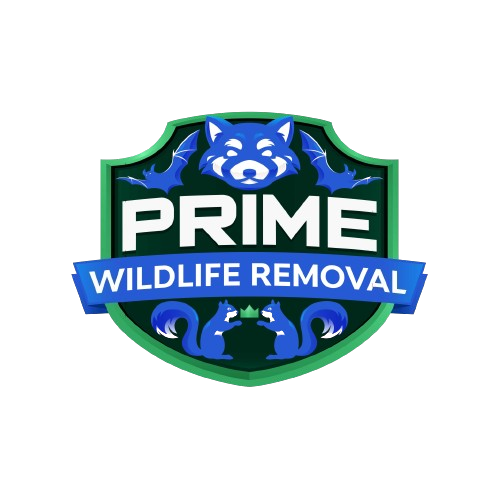 Animal Removal Clarklake